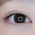 セクシーキャットの仕上がり