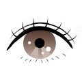 二重の目元