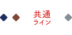 メディステ サロンケア共通 薬用洗顔・マッサージ