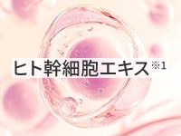 ヒト幹細胞エキス