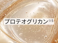 プロテオグリカン